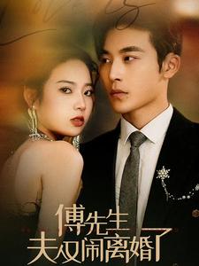 傅先生夫人又闹离婚了 第01集