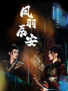凤羽辰安 第09集