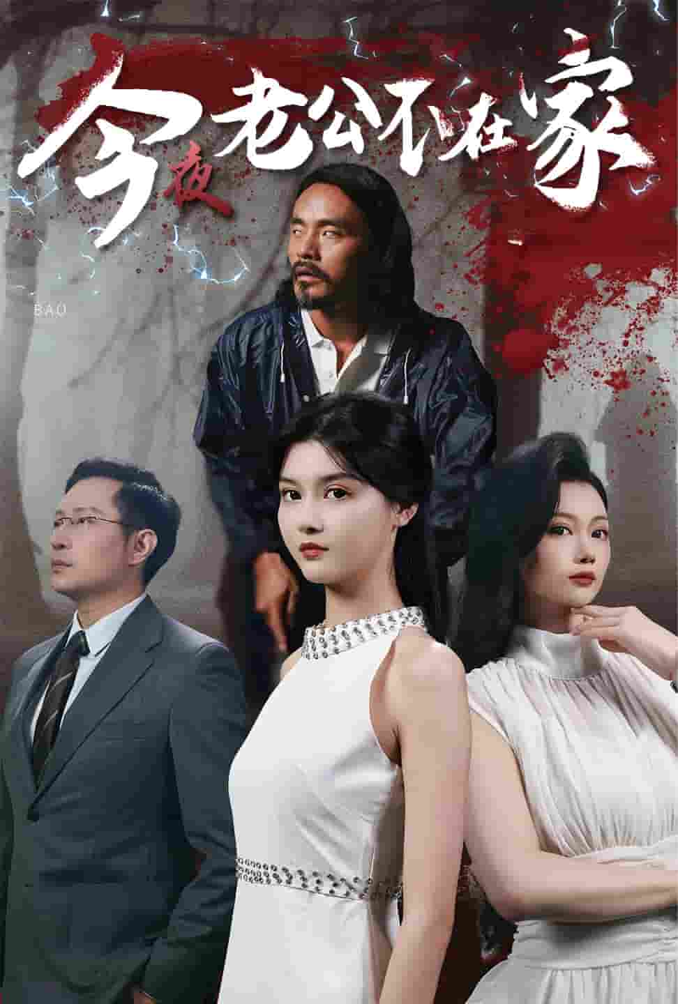 今夜老公不在家 第06集
