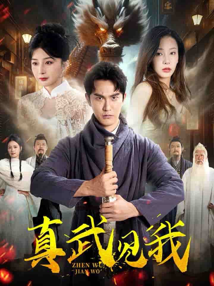 真武见我 第06集