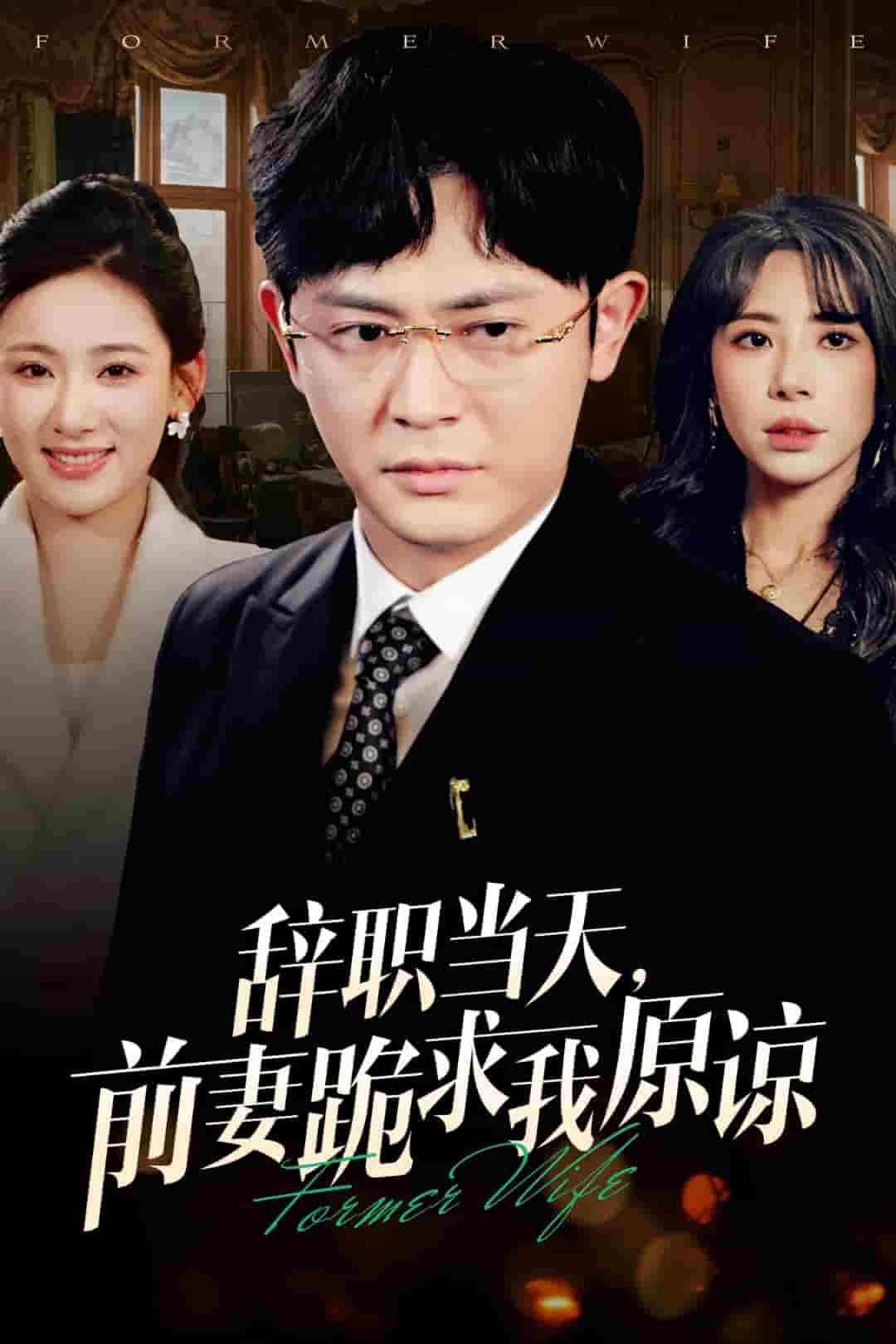 辞职当天前妻哭着求我原谅 第3集