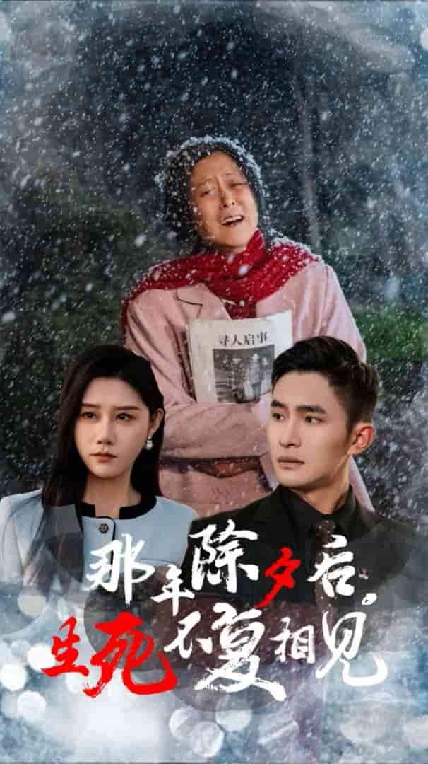 那年除夕后生死不复相见 第6集