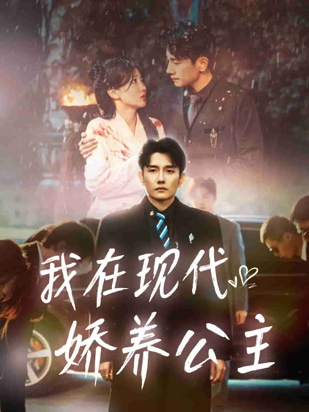 我在现代娇养公主 第8集