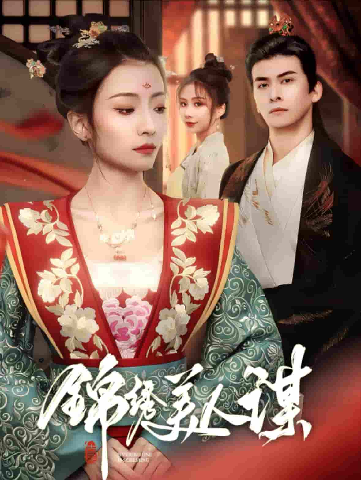锦绣美人谋 第6集