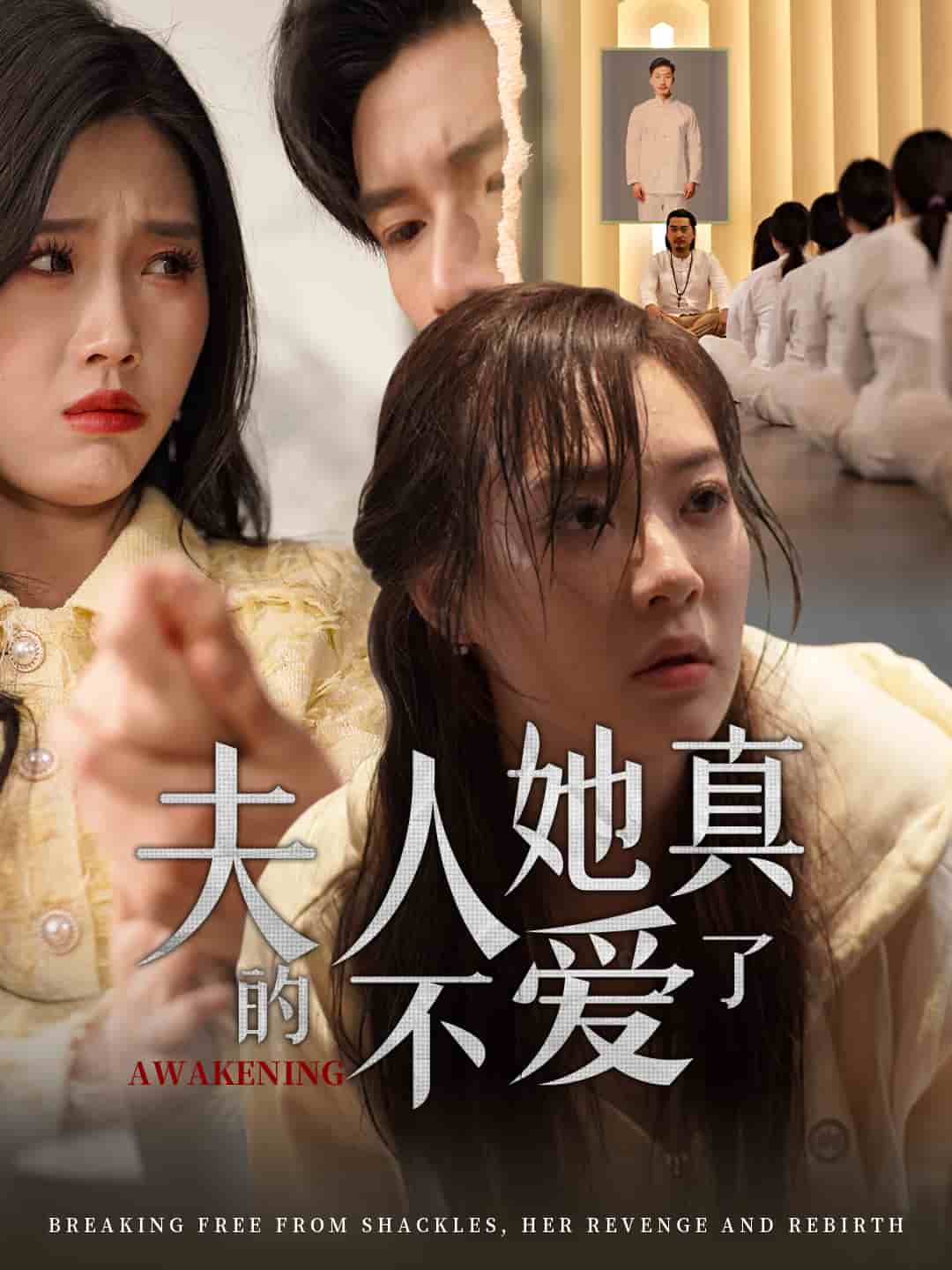 夫人她真的不爱了 第1集