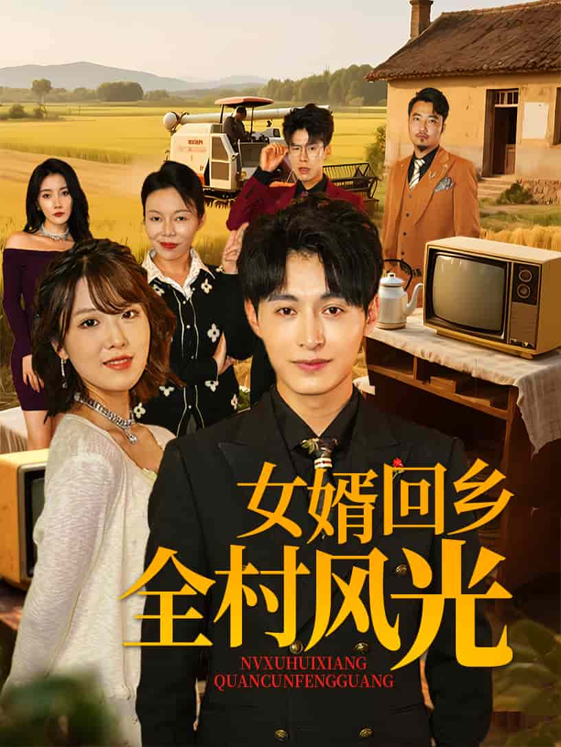 女婿回乡全村风光 第1集