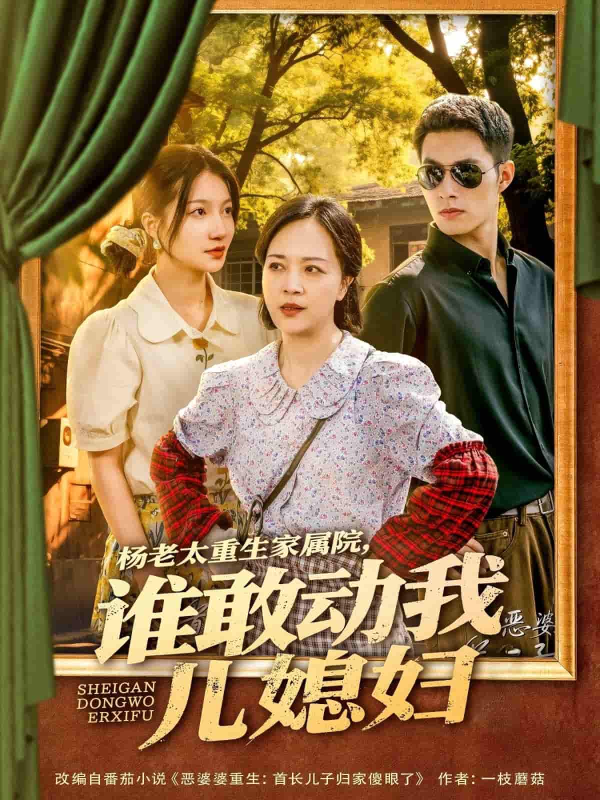 杨老太重生家属院，谁敢动我儿媳妇 第02集