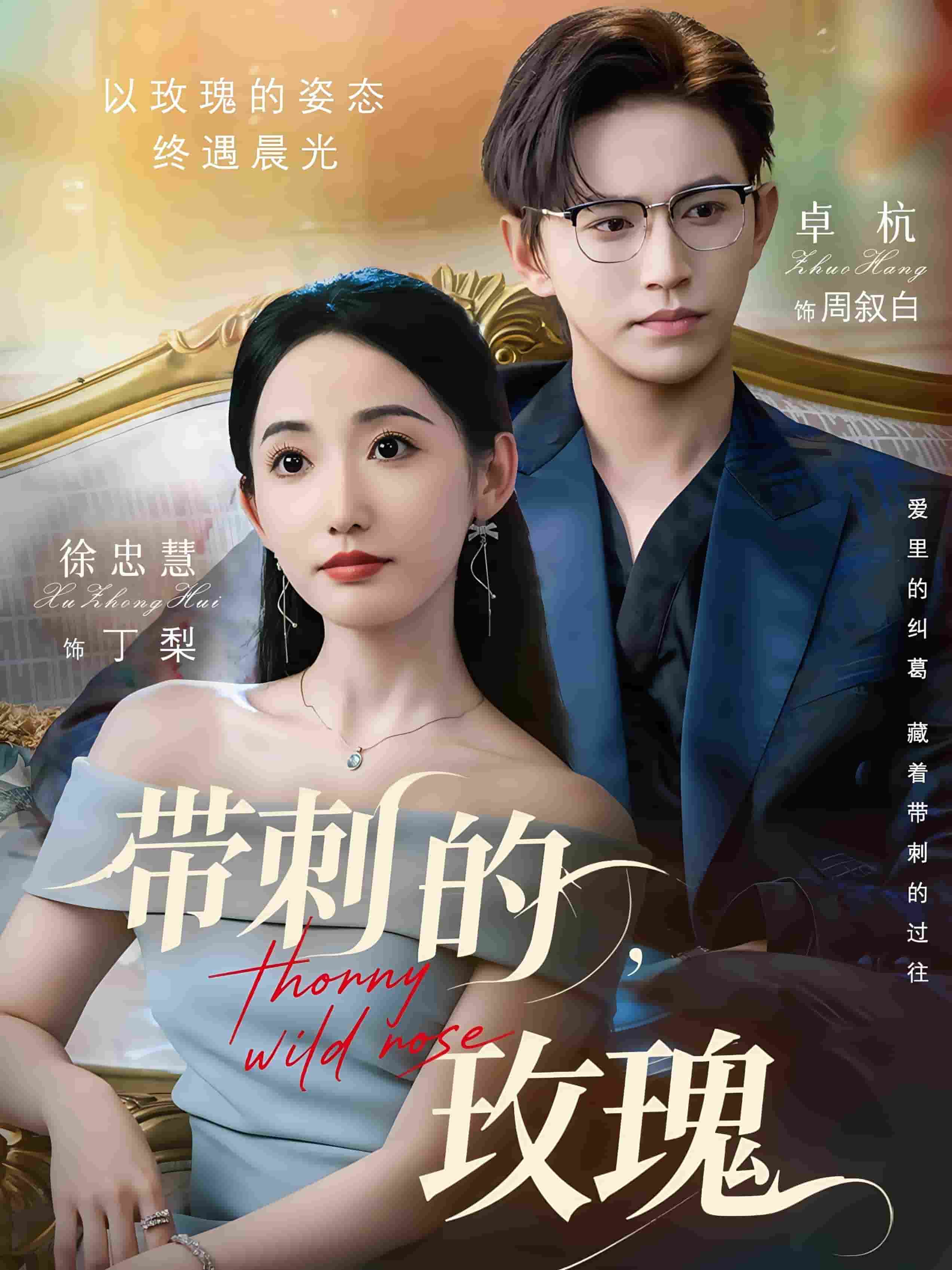 带刺的玫瑰 第05集