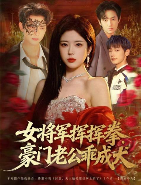 女将军挥挥拳，豪门老公乖成犬 第06集