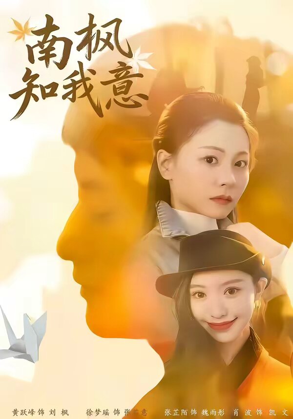 南枫知我意 第04集
