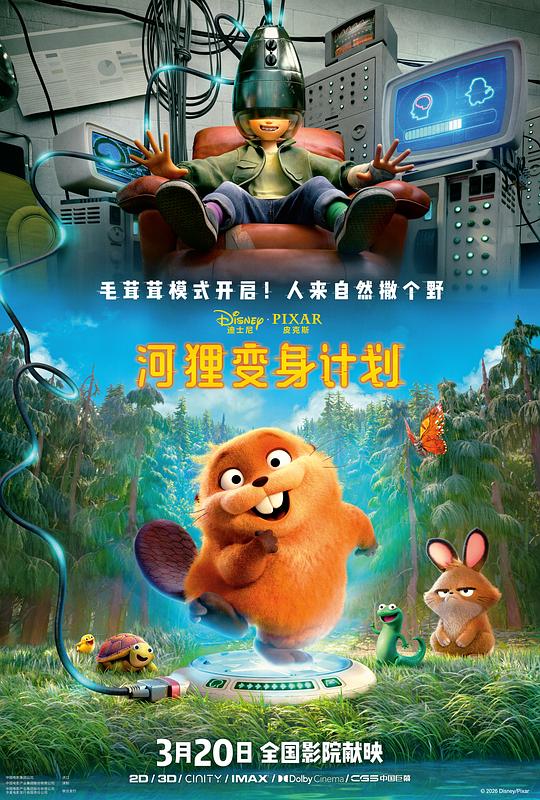 河狸变身计划 HD国语