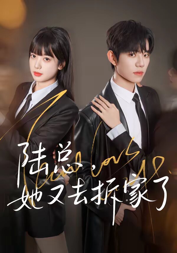 陆总，她又去拆家了 第06集