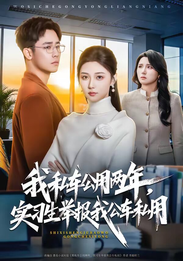 我私车公用两年，实习生举报我公车私用 第08集