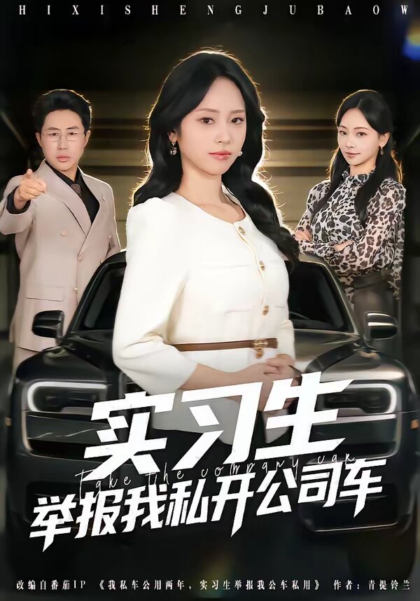实习生举报我私开公司车 第06集