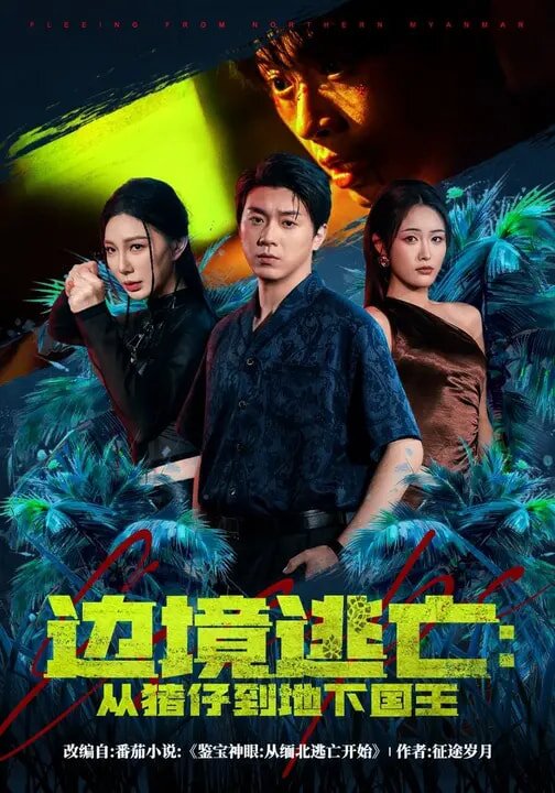 边境逃亡：从猪仔到地下国王 第08集