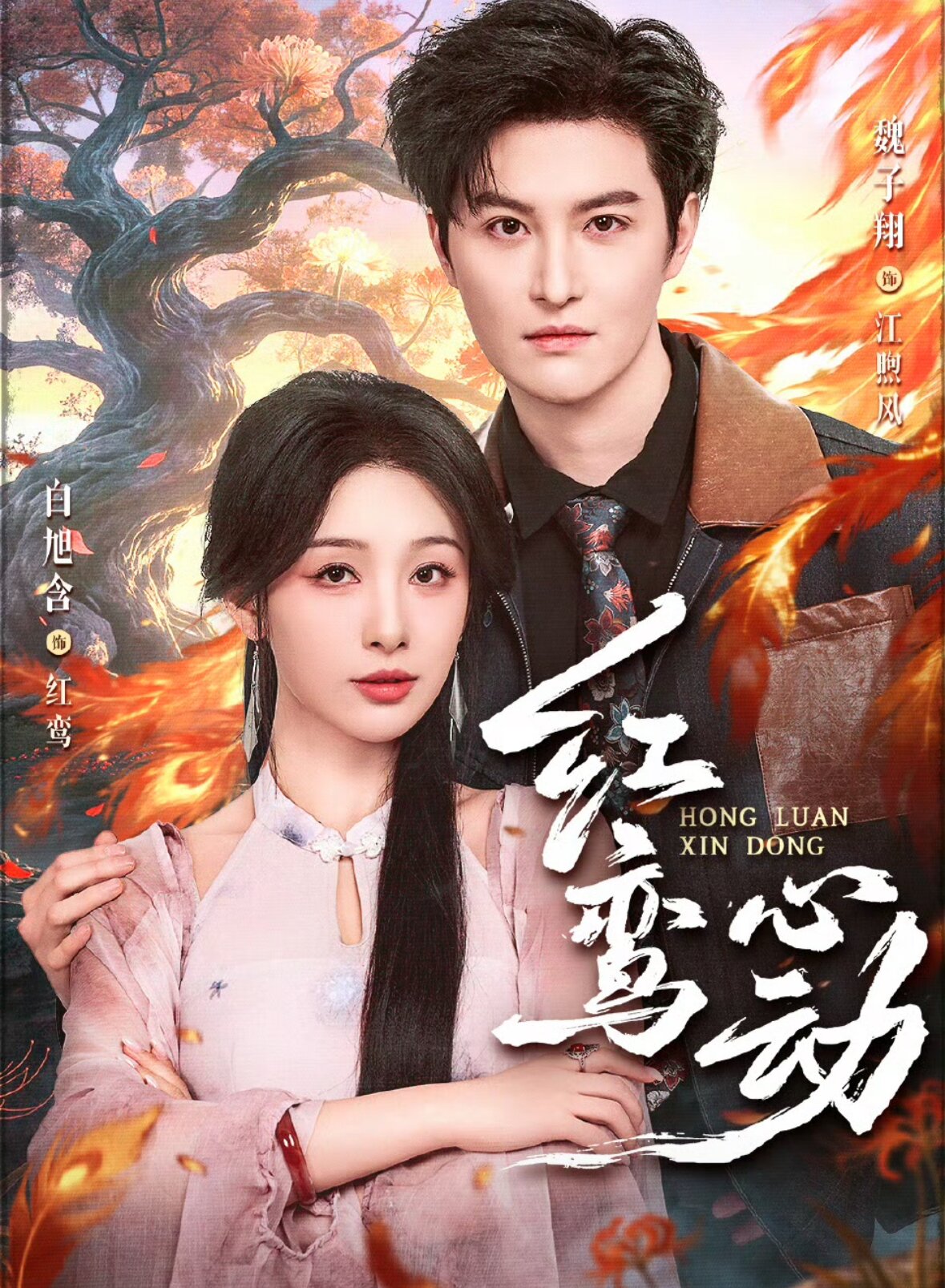 红鸾心动 第05集