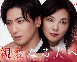 致亲爱的丈夫~完美妻子的谎言~