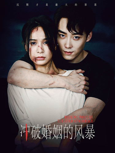 冲破婚姻的风暴 第18集